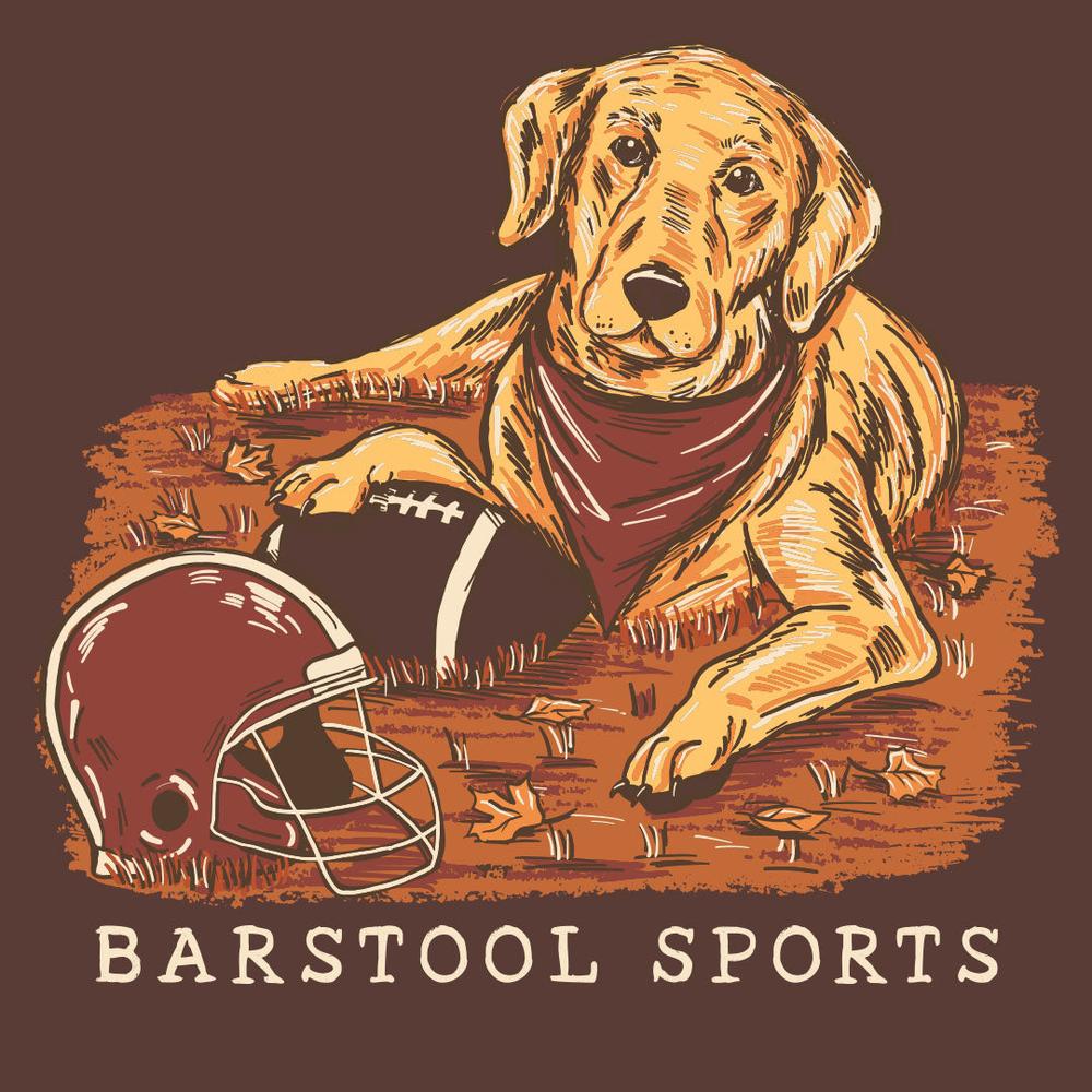 Barstool Fall Football Dog Tee-T-Shirts-Barstool Sports-Barstool Sports