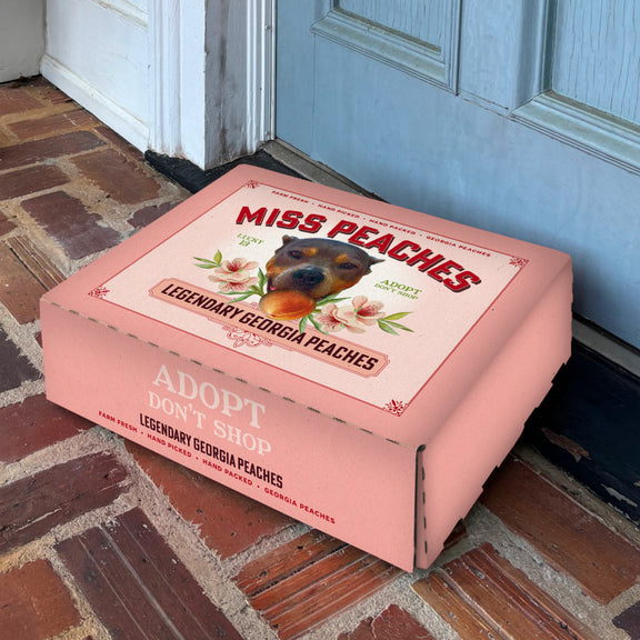 Miss Peaches Legendary Georgia Peaches - BOX OF 13 PEACHES-Foods-Barstool Sports-Barstool Sports