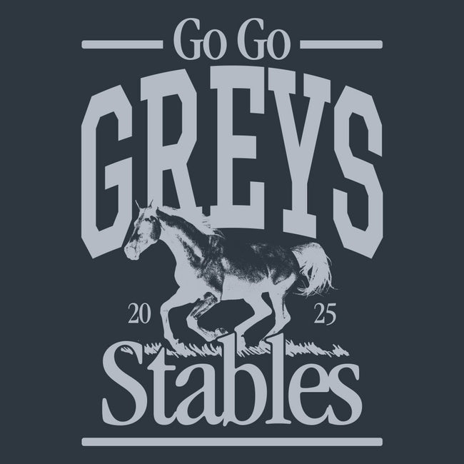 Go Go Greys Tee-T-Shirts-Barstool Sports-Barstool Sports