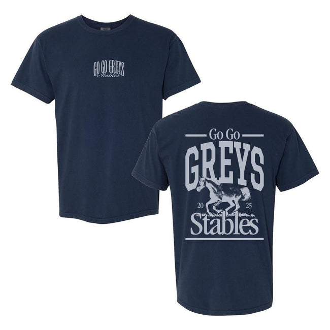 Go Go Greys Tee-T-Shirts-Barstool Sports-Barstool Sports