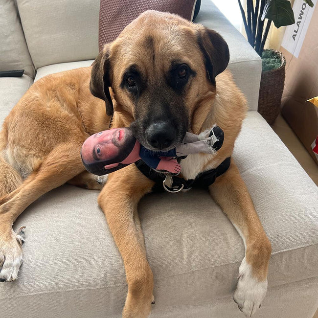 Hank Lockwood Dog Toy-Accessories-Pardon My Take-Barstool Sports