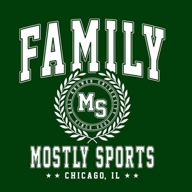 Family Collegiate Hoodie-Hoodies & Sweatshirts-Mostly Sports-Barstool Sports
