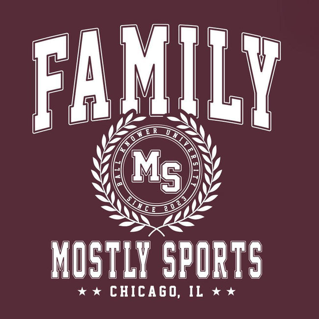 Family Collegiate Hoodie-Hoodies & Sweatshirts-Mostly Sports-Barstool Sports