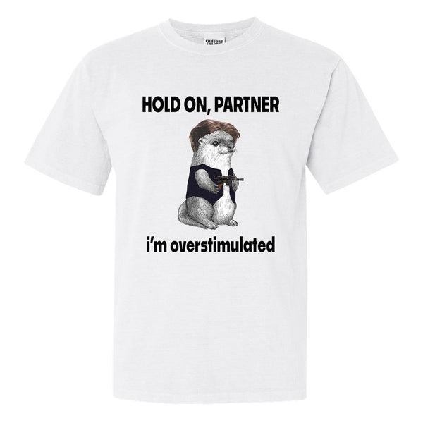 I'm A Simple Woman - Ferrets & Dogs Shirt