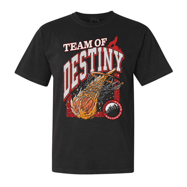 Team of Destiny NC Tee-T-Shirts-Barstool Sports-Black-S-Barstool Sports
