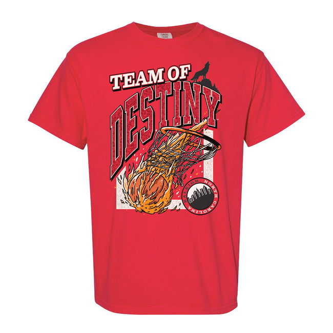 Team of Destiny NC Tee-T-Shirts-Barstool Sports-Red-S-Barstool Sports