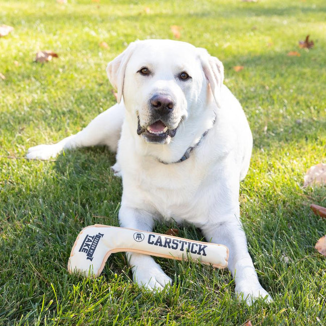 Pardon My Take Car Stick 4.0 Dog Toy-Pets-Pardon My Take-Tan-One Size-Barstool Sports