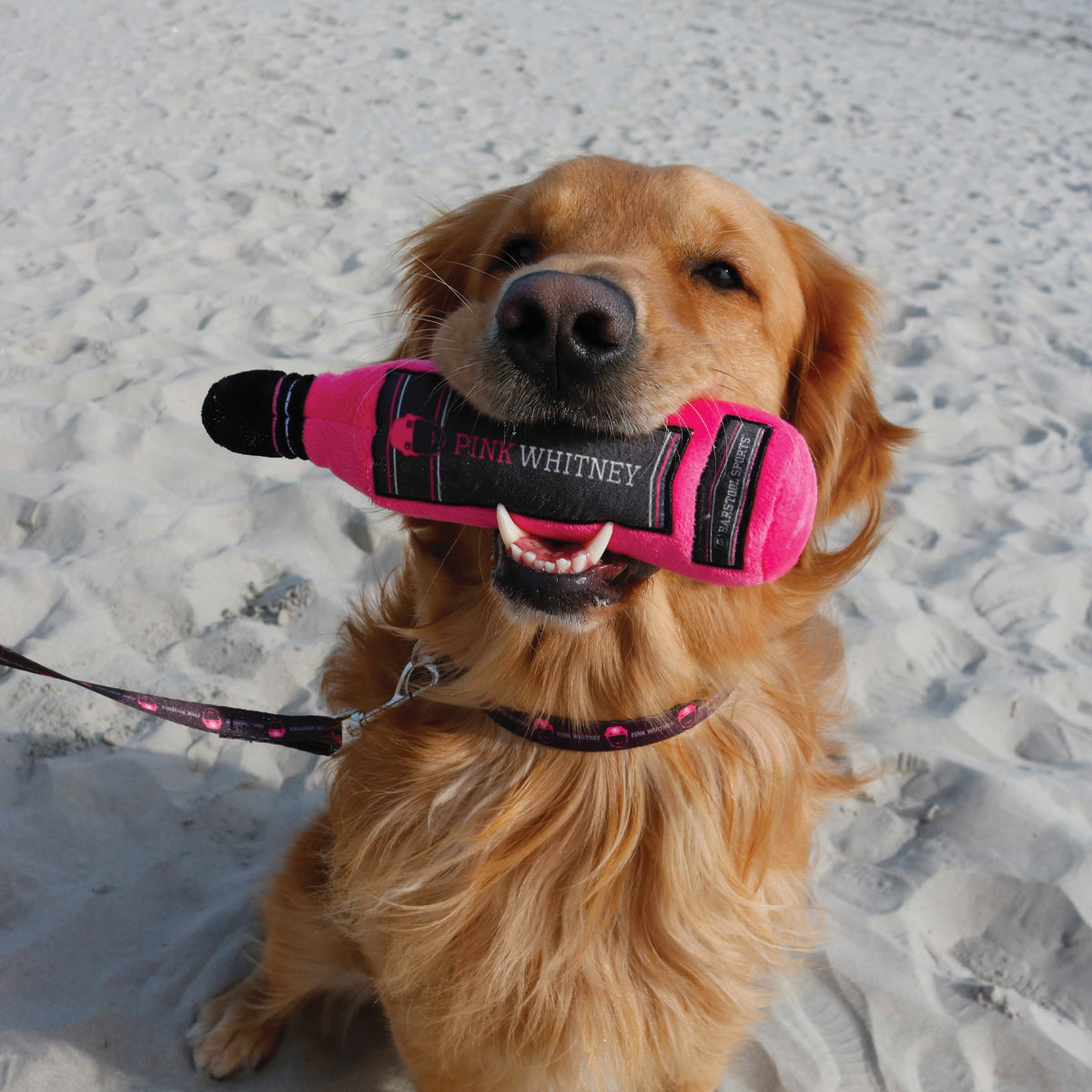 Pink Whitney Dog Leash-Pets-Pink Whitney-Black-One Size-Barstool Sports