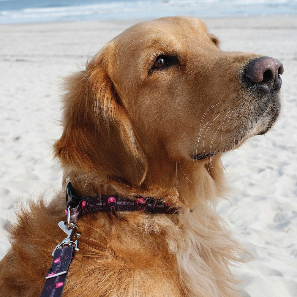 Pink Whitney Dog Leash-Pets-Pink Whitney-Black-One Size-Barstool Sports